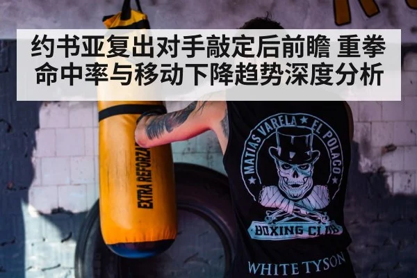 boxer training gym punching bag